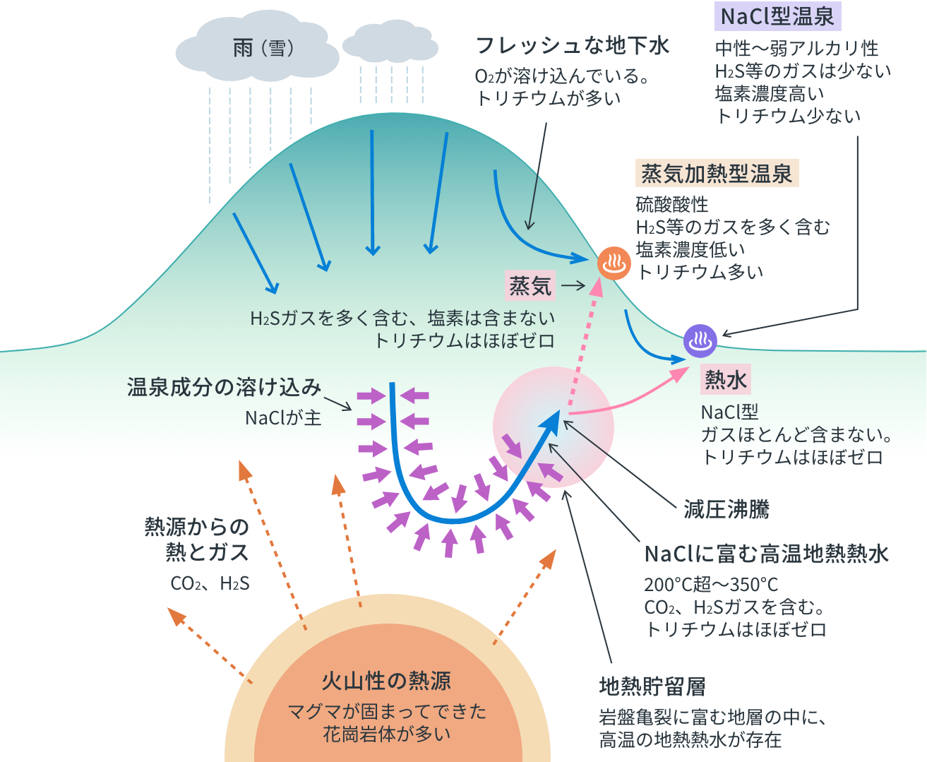 一般的な火山性高温地熱地帯の模式図