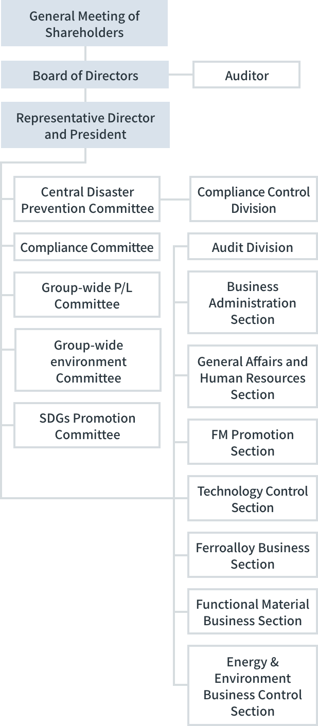 Corporate governance structure